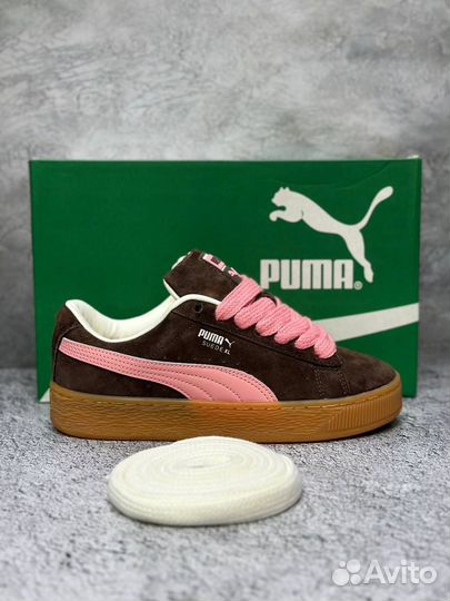 Puma