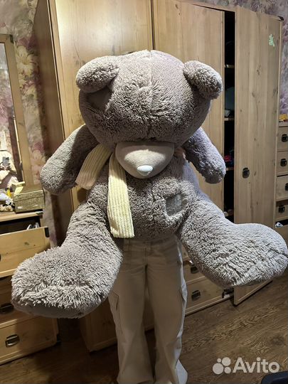 Плюшевый мишка