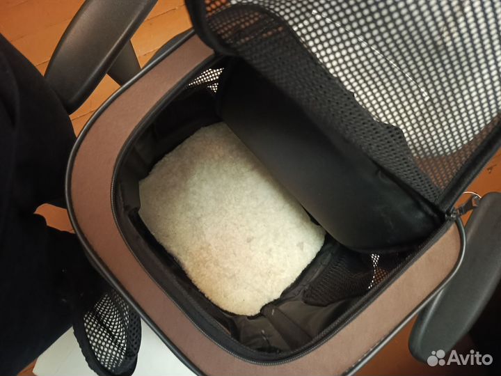 Переноска для кошек