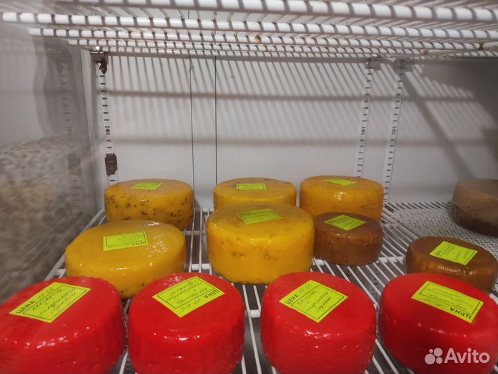 Сыр качотта