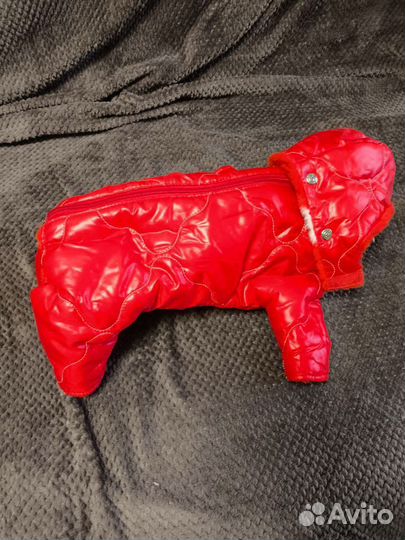 Комбинезон для маленькой собаки