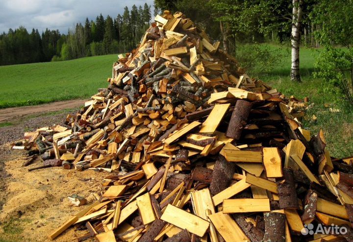 Дрова сухостой