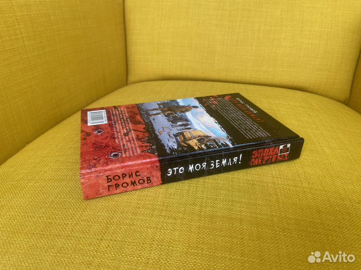 Это моя земля - Борис Громов
