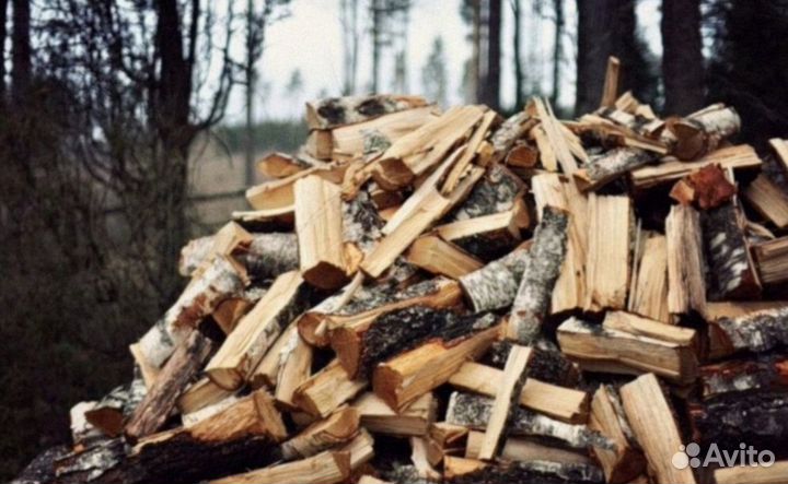 Дрова береза