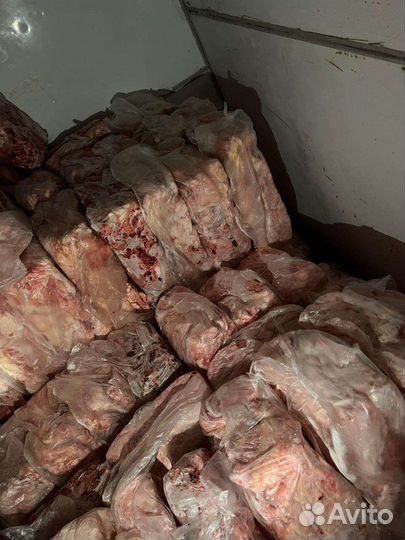 Корм для собак