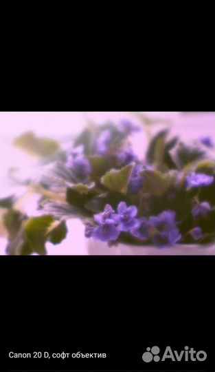 Объектив софт