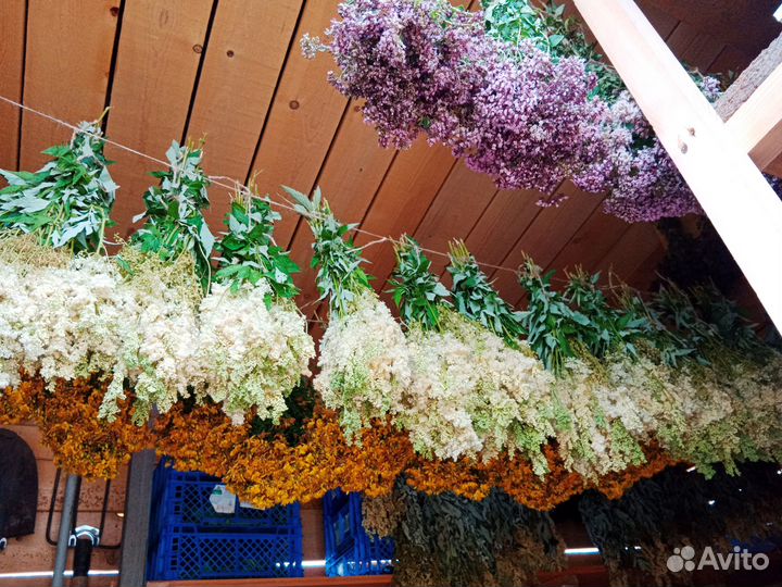 Душица, зверобой. Свежий сбор 2023 г