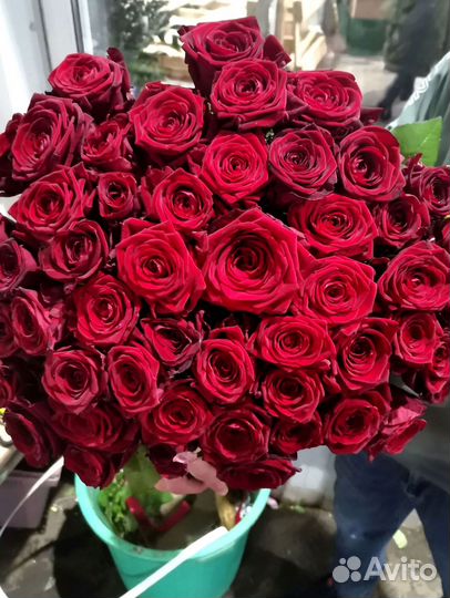 Розы, букет цветов