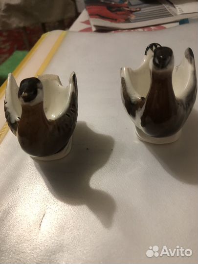 Пашотница 
