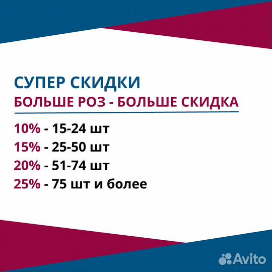 Букет разноцветных роз, Эквадор, 50см 31 шт