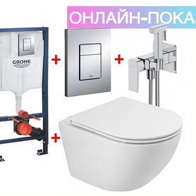 Инсталляция Grohe и подвесной унитаз с душем