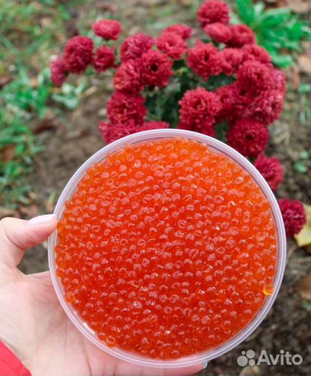 Красная икра