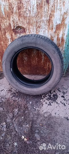 Nokian Tyres Nordman SX3 205/60 R16
