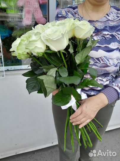 Белые розы 80см