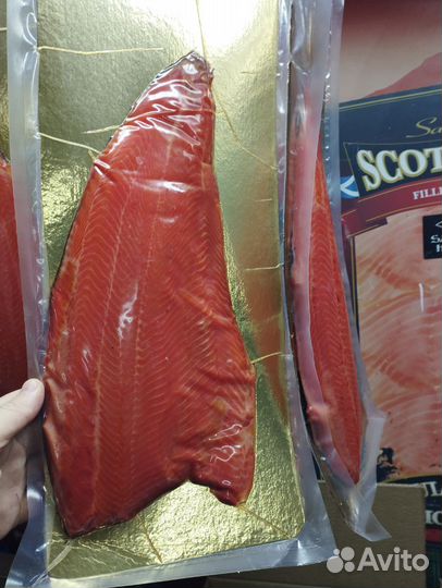 Лосось, (форель)