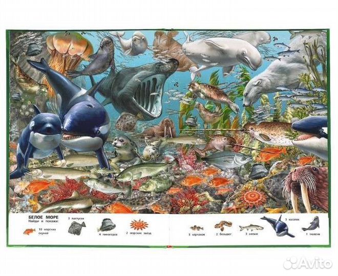 Большая книга о животных Виммельбух