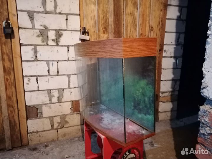 Аквариум 720х250х500