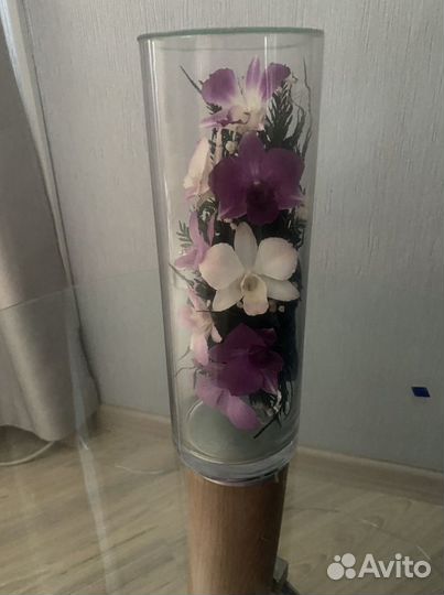 Живые цветы вазе