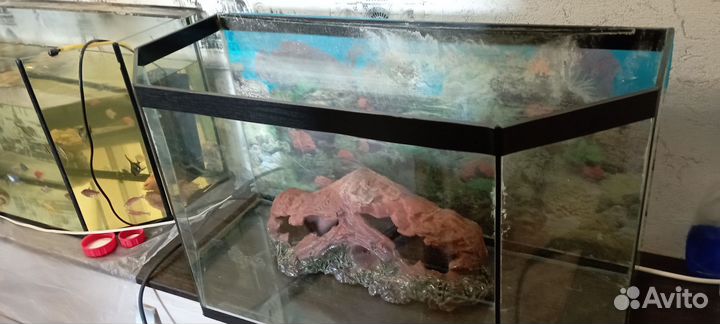Аквариум