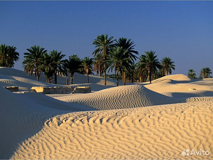 Туры в Тунис в июле