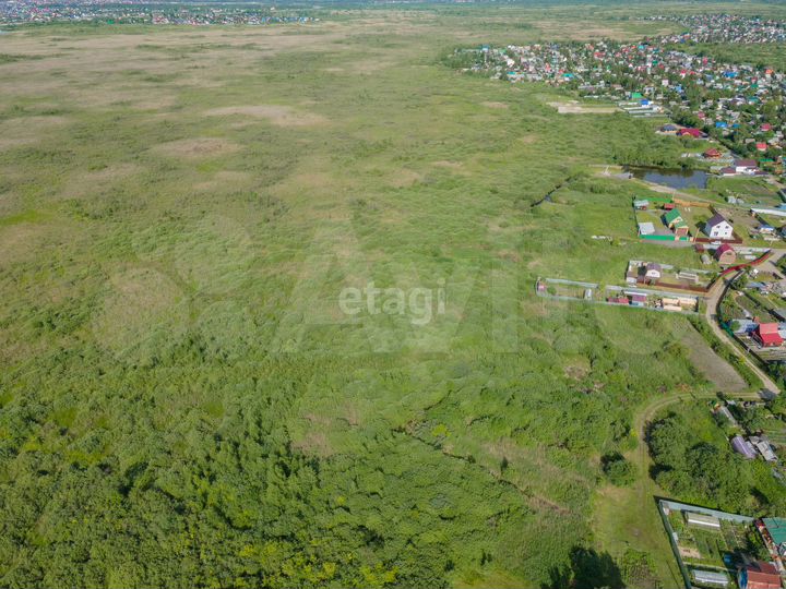 Участок 20 сот. (СНТ, ДНП)