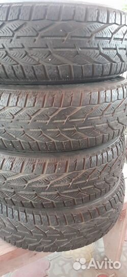 Tigar Winter 185/65 R15