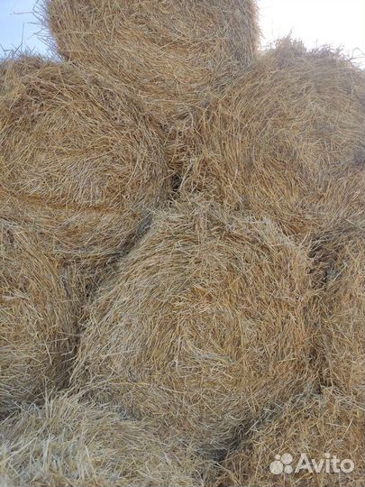 Солома в рулонах с доставкой