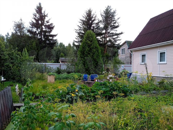 Дача 33,5 м² на участке 5,5 сот.