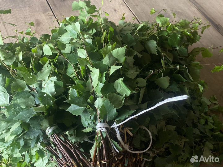 Березовые веники