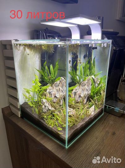 Аквариумы группой