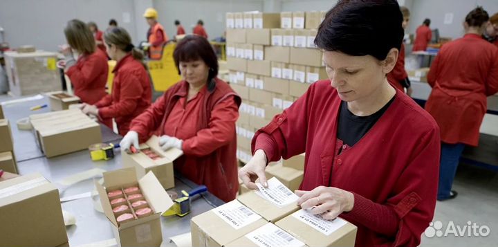 Упаковщица