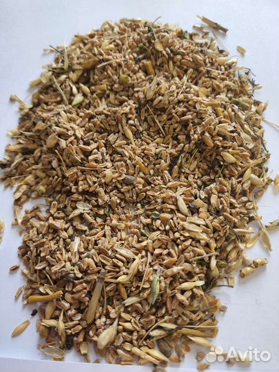 Зерноотходы пшеничные