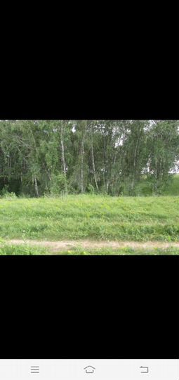Участок 12 сот. (ИЖС)