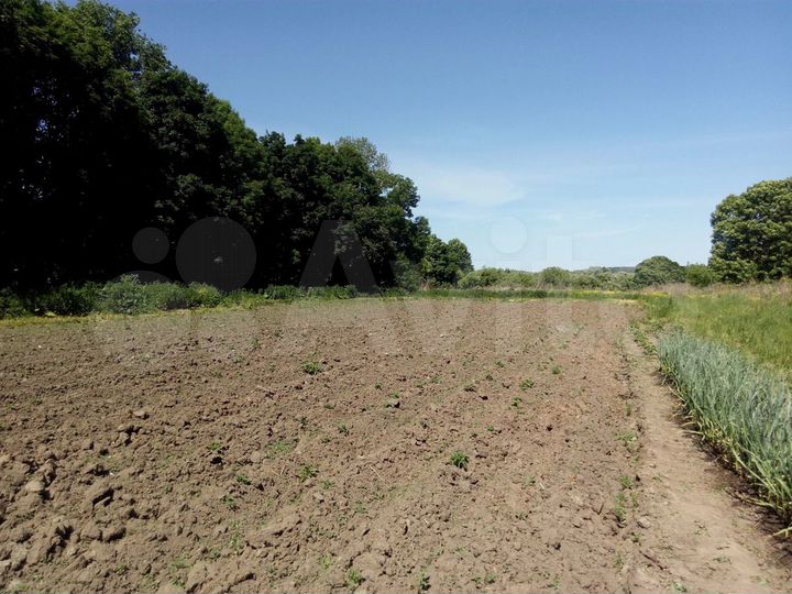 Участок 31 сот. (ИЖС)