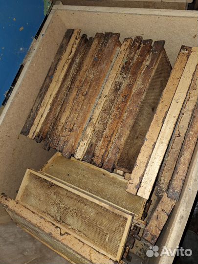 Рамки с вощиной, сушью