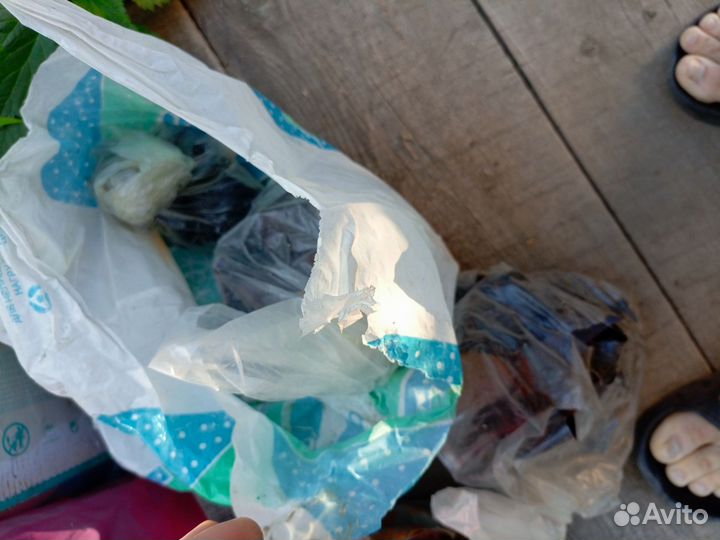 Сапожные колодки