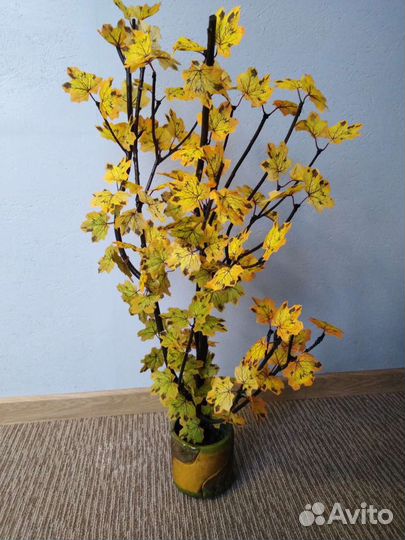 Деревцо. Клёна