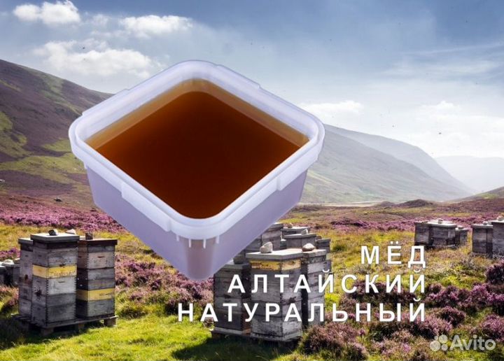 Мёд натуральный из Алтая опт