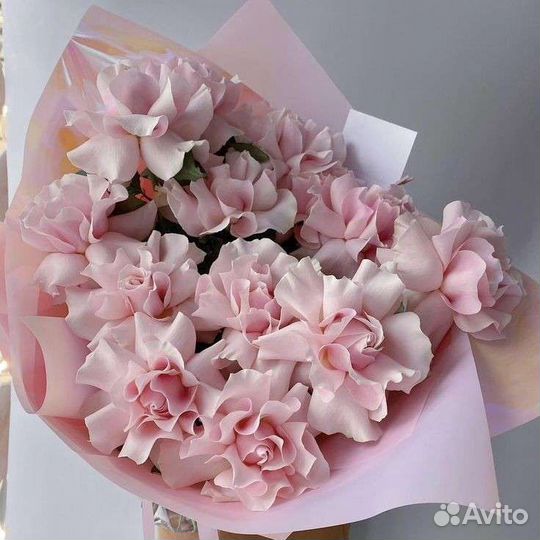 Доставка роз Эквадор крупные,стойкие