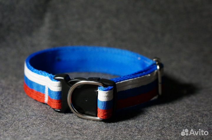 Ошейник для собак