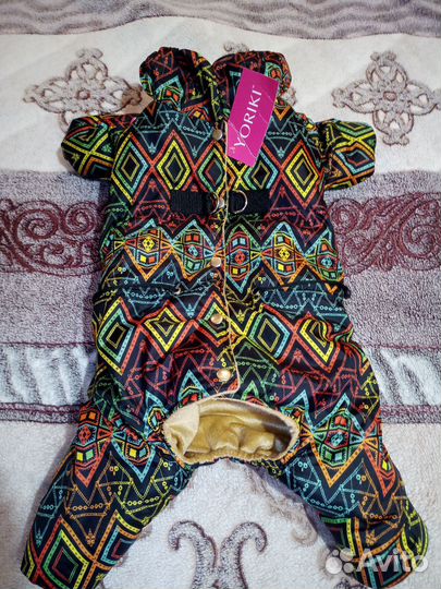 Одежда для собак