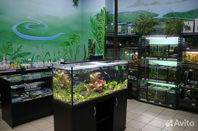 Аквариумные рыбки и живые растения объявление продам