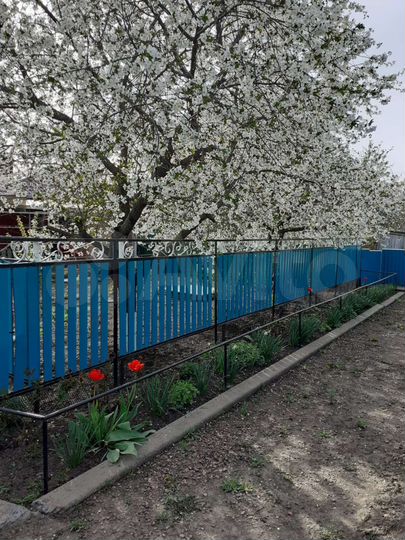 Дом 50 м² на участке 6,2 сот.