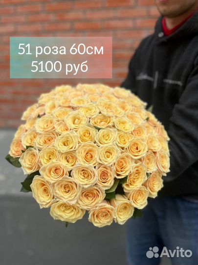 Розы Голландские свежие Букет 51 роза