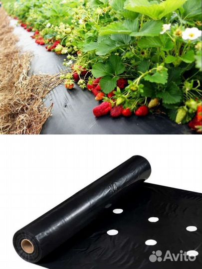 Пленка с перфорацией