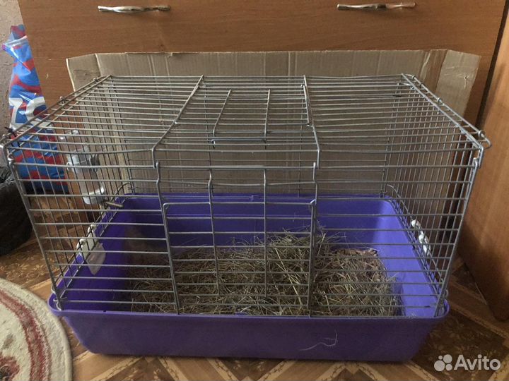 Клетка