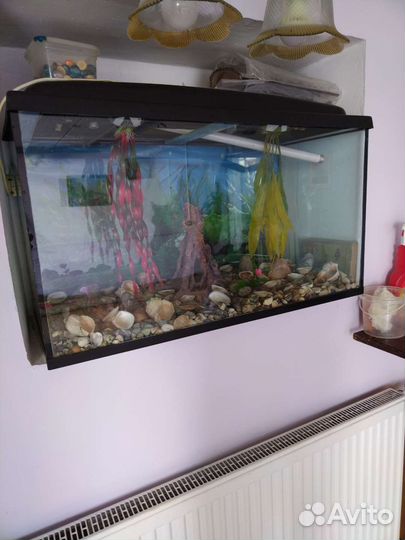 Аквариум