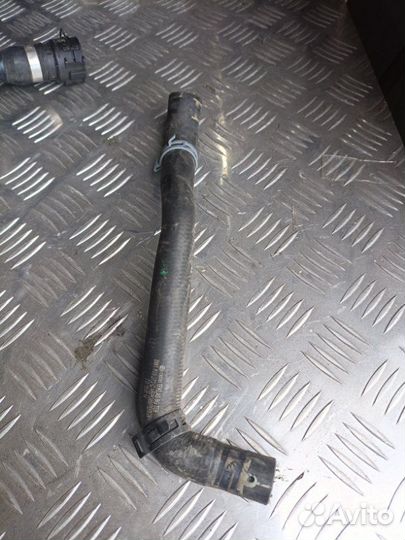 Патрубок охлаждения Audi A4 B9 2.0T 2018