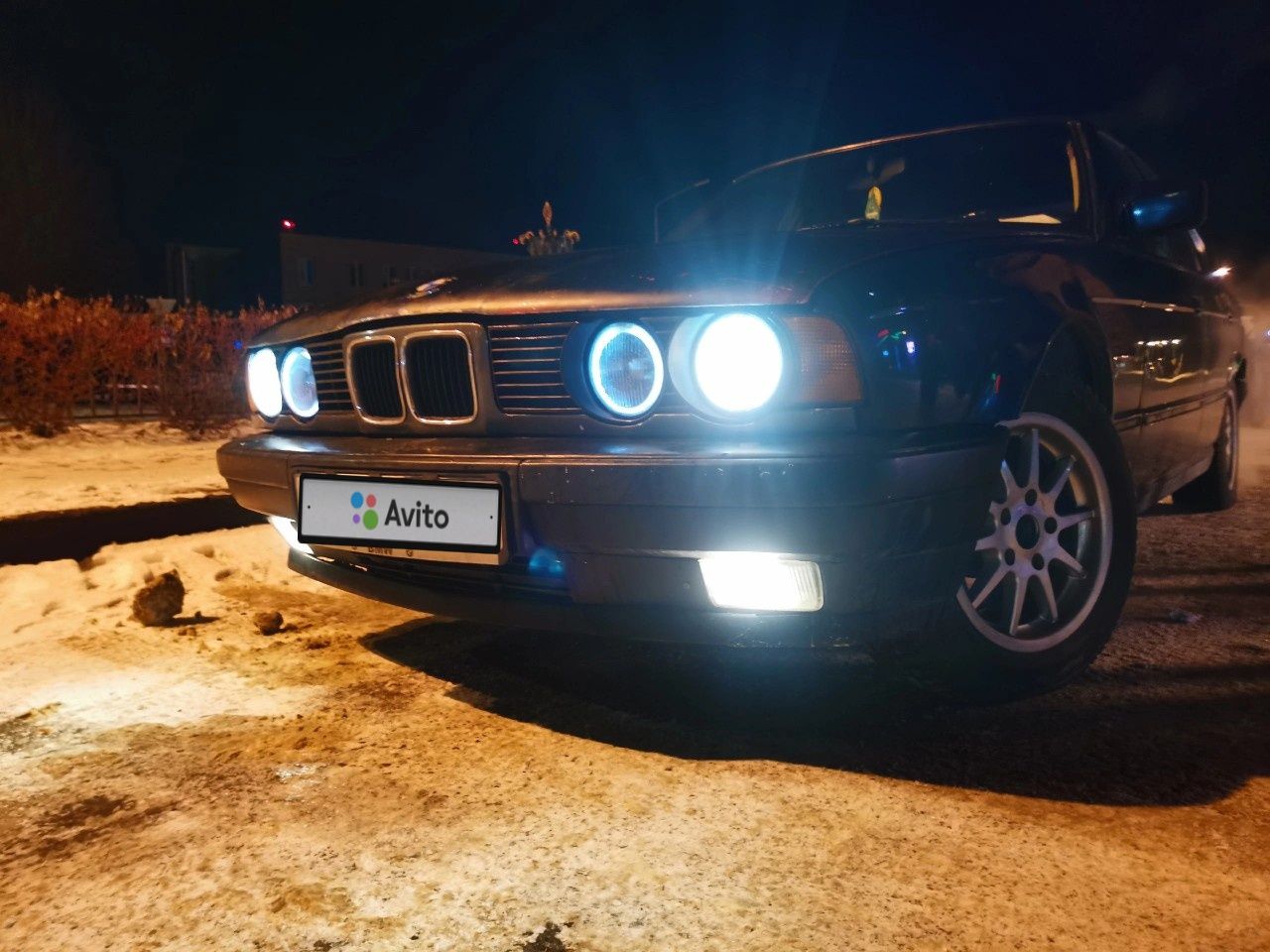 BMW 5 серия: фото владельца