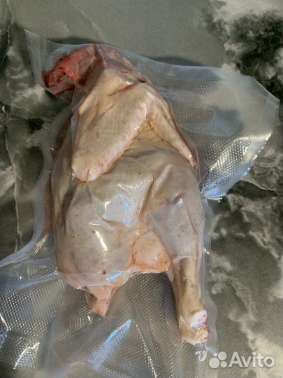 Продам домашнее куриное яйцо